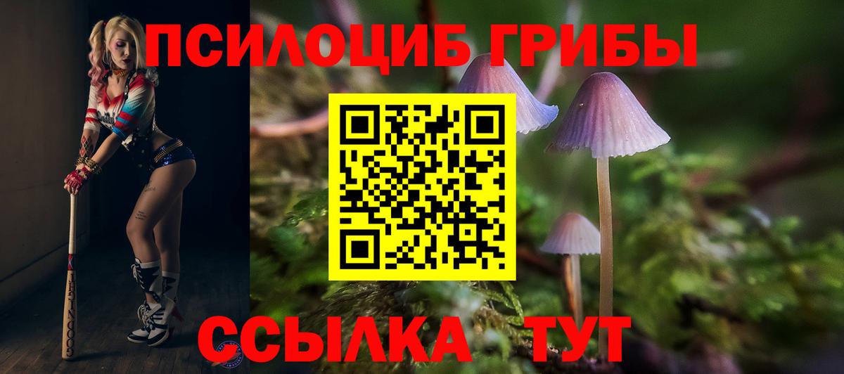 Псилоцибиновые грибы Magic Shrooms  Псилоцибиновые грибы прущие грибы  Вход с VPN  Стрежевой 